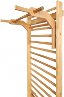 Artimex Pull-ups and Dips, code 248-5