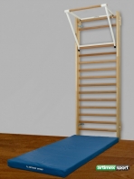 Ribbevæg sammen med incline plade og pull-up ribbe,varenummer 264