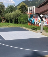 Sistema de baloncesto Heavy Aris, codigo 105-DD