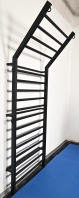 Sprossenwand 2.55x1 m, 17 Sprossen, Artikelnr. 221-Gladiator