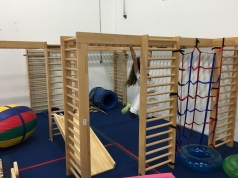  Gimnasio de la selva o Monkey bars Código 6699