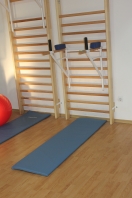 Matelas de gymnastique 2 cm,1.8x0.5 m,Ref 3012-02