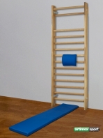 Žinenka Štandard Artimex Sport, 200 x 50 x 5cm, kód 208-2