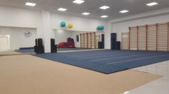 Turnmat gymnastiek,35677