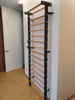 Sprossenwand , Metall/Holz, 15 Sprossen, 2.3x0.9 m, Artikelnummer 221-M-Schwarz