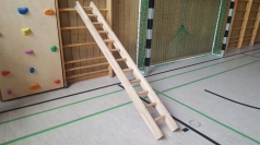 Ladder for children,code 247