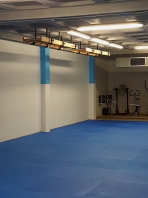 Échelle de gymnastique 9 échellons pour plafond, 2.6x0,5m, Réf. 281