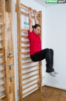 Swedish Ladders, beech wood,model Bradford, 230x85 cm, code 221-F