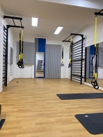 Sprossenwand aus Metall, 265x100 cm, Artikelnr. 231-Gladiator-90